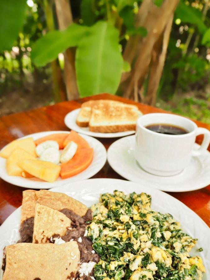 Hotel Maya Balam Xpujil Εξωτερικό φωτογραφία