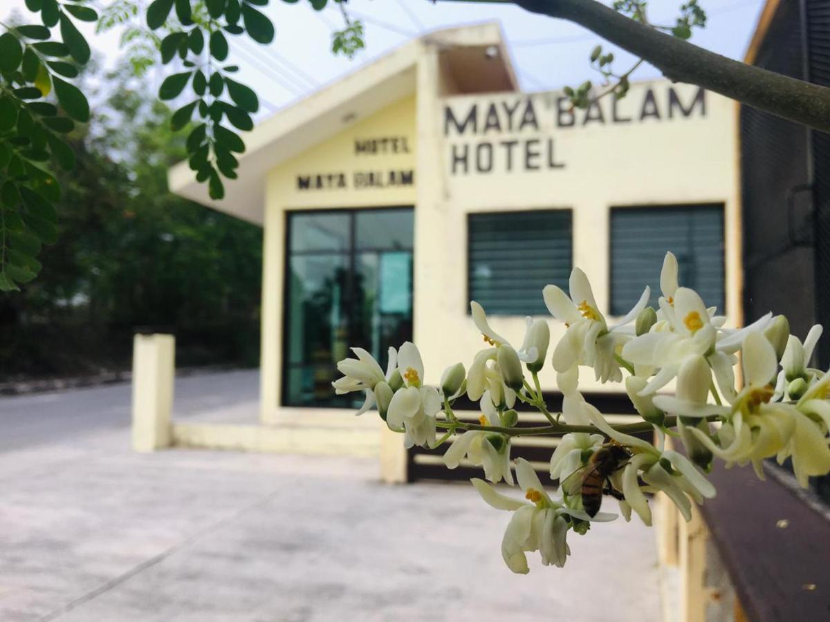 Hotel Maya Balam Xpujil Εξωτερικό φωτογραφία